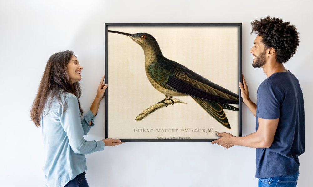 René-Primevère Lesson