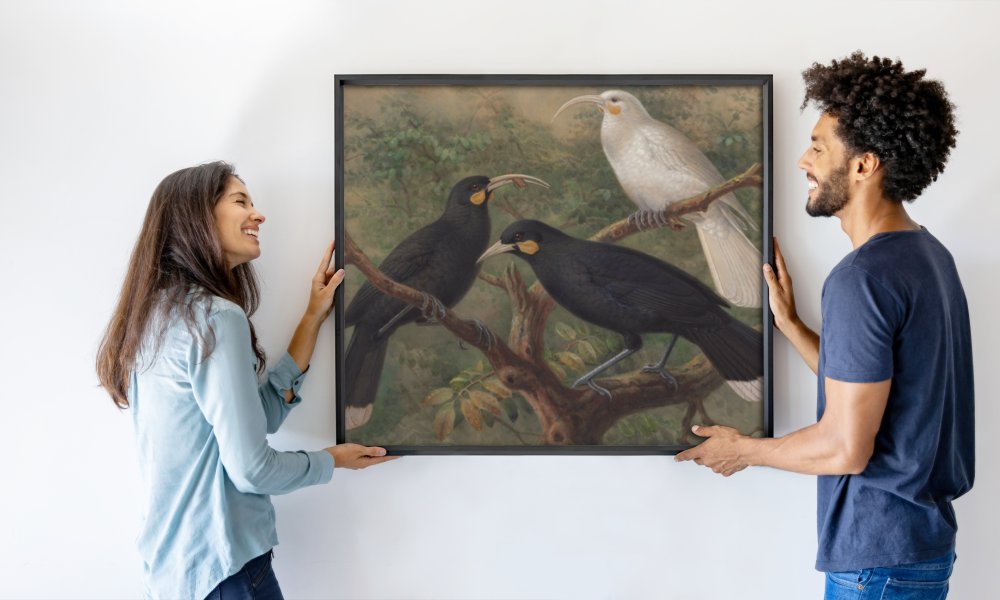 John Gerrard Keulemans