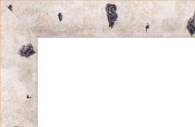 Moldura