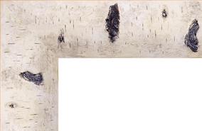 Moldura