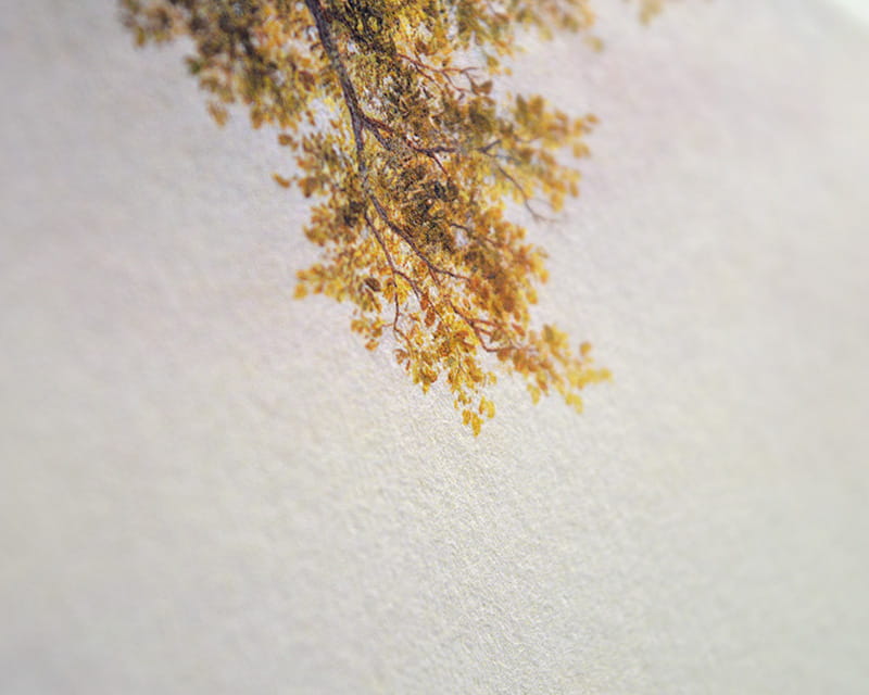 Bamboo, 110g (Washi de bambu liso)  12