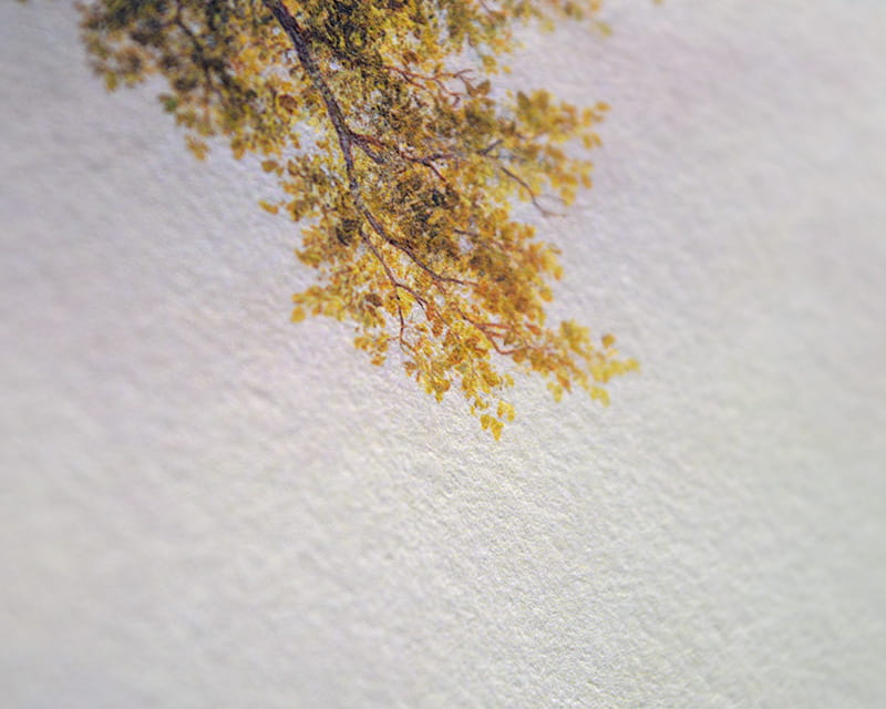 Kozo White, 110g (Papel de fibra de amora, branco)  14