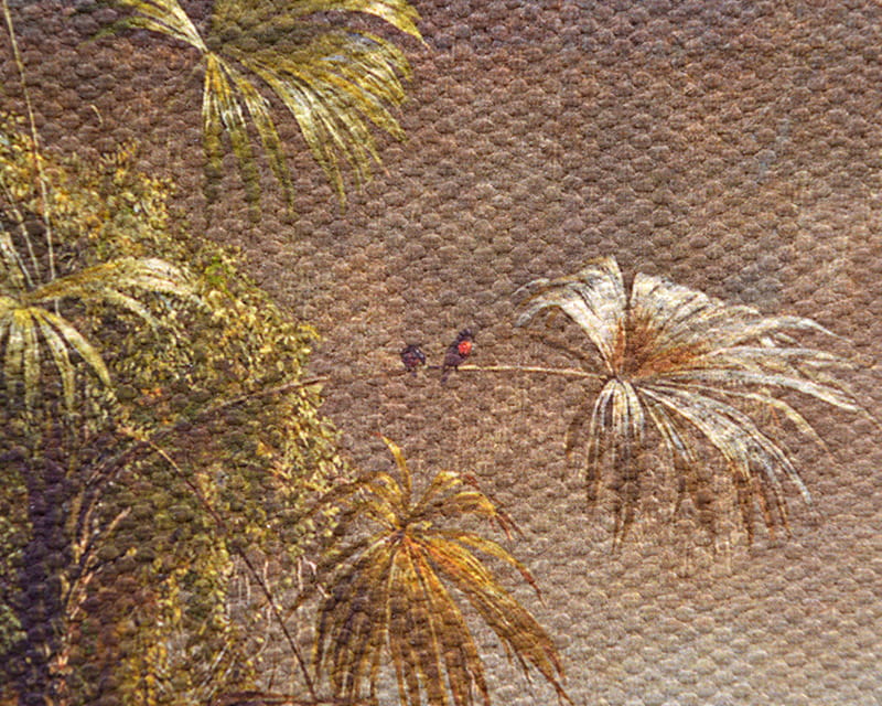 Lona Salvador (fosco) (Canvas Florenz)  16