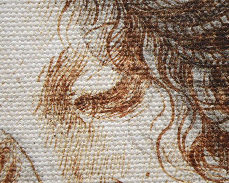 Lona Salvador (fosco) (Canvas Florenz)  33