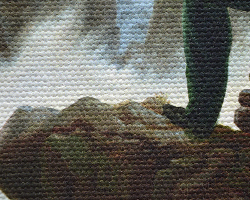 Lona Salvador (fosco) (Canvas Florenz)  8