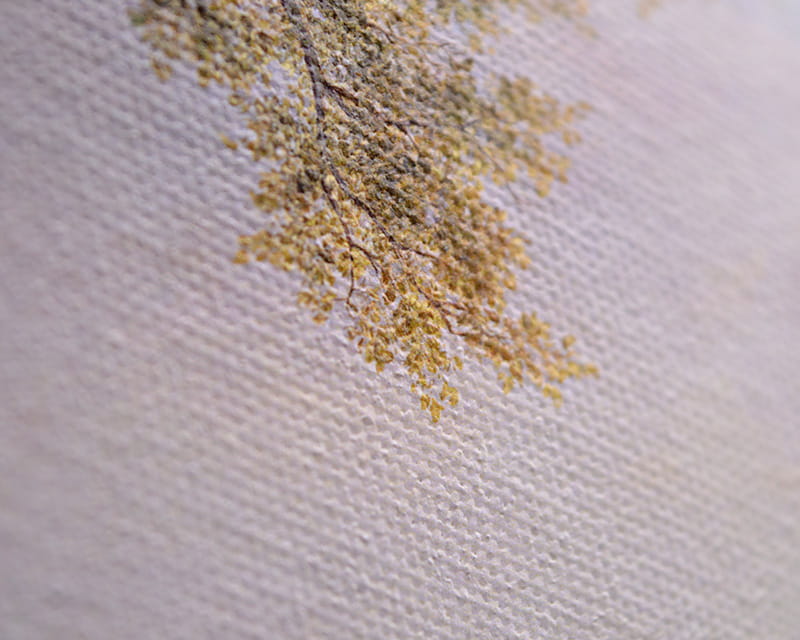 Lona Leonardo (cetim) (Canvas Venezia)  31