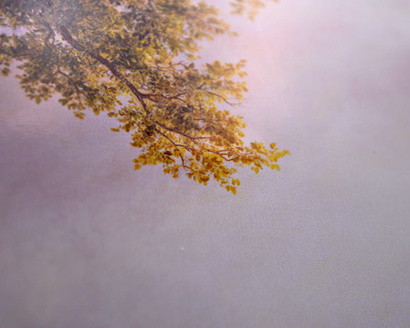 FineArt foto brilhante (PGC 310 FD)  28