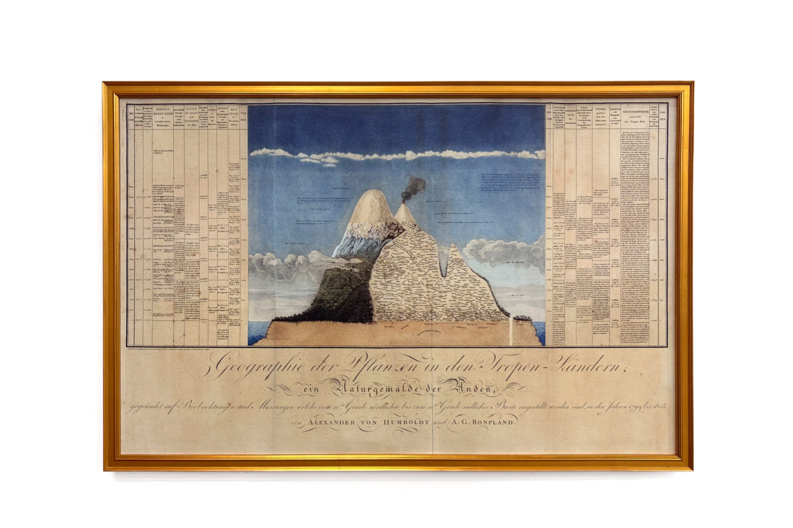 Geografia das plantas nos países tropicais, um estudo dos Andes, desenhada por Schoenberger e Turpin, impressa por Langlois, Paris - Baron Friedrich Alexander von Humboldt
