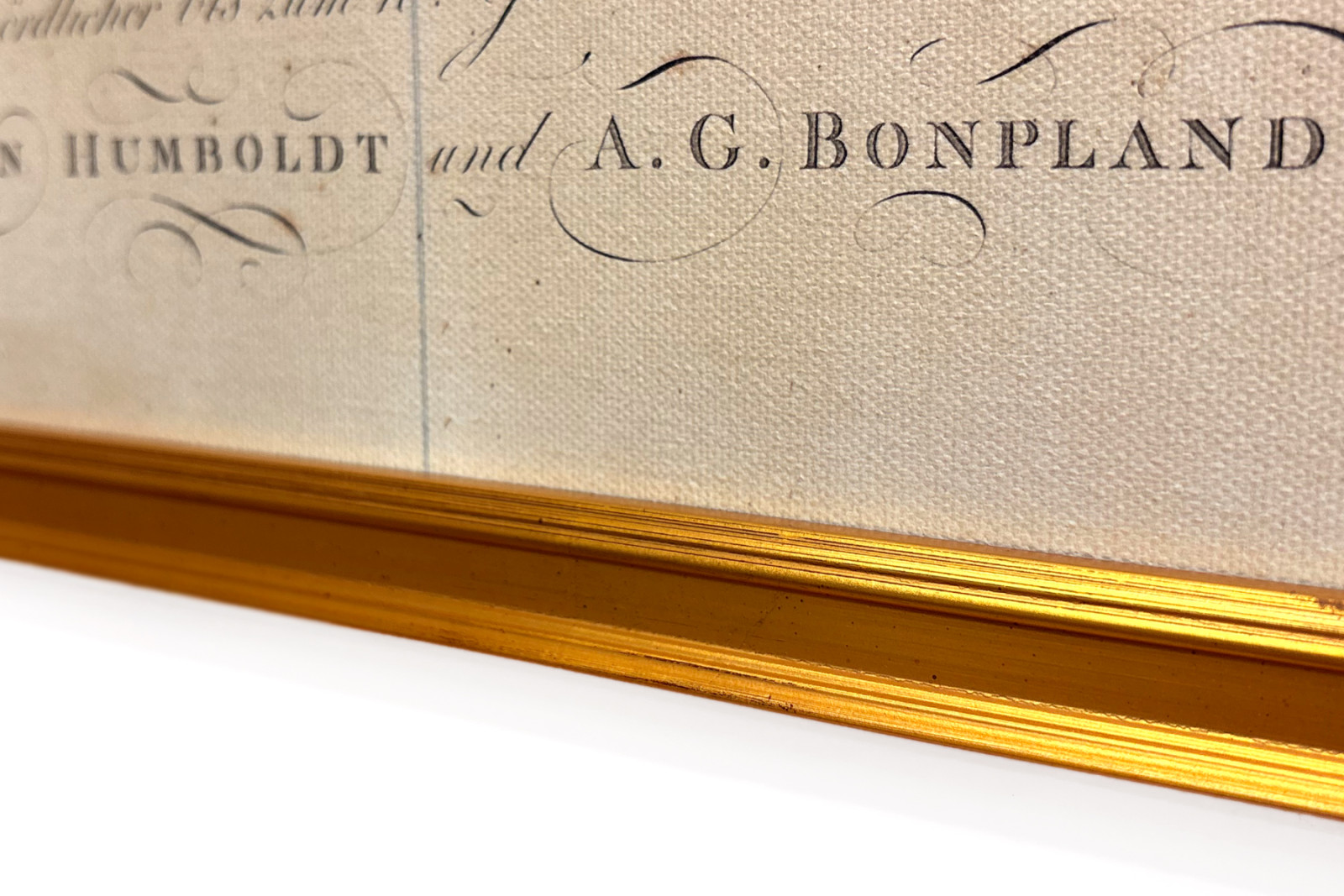 Geografia das plantas nos países tropicais, um estudo dos Andes, desenhada por Schoenberger e Turpin, impressa por Langlois, Paris - Baron Friedrich Alexander von Humboldt