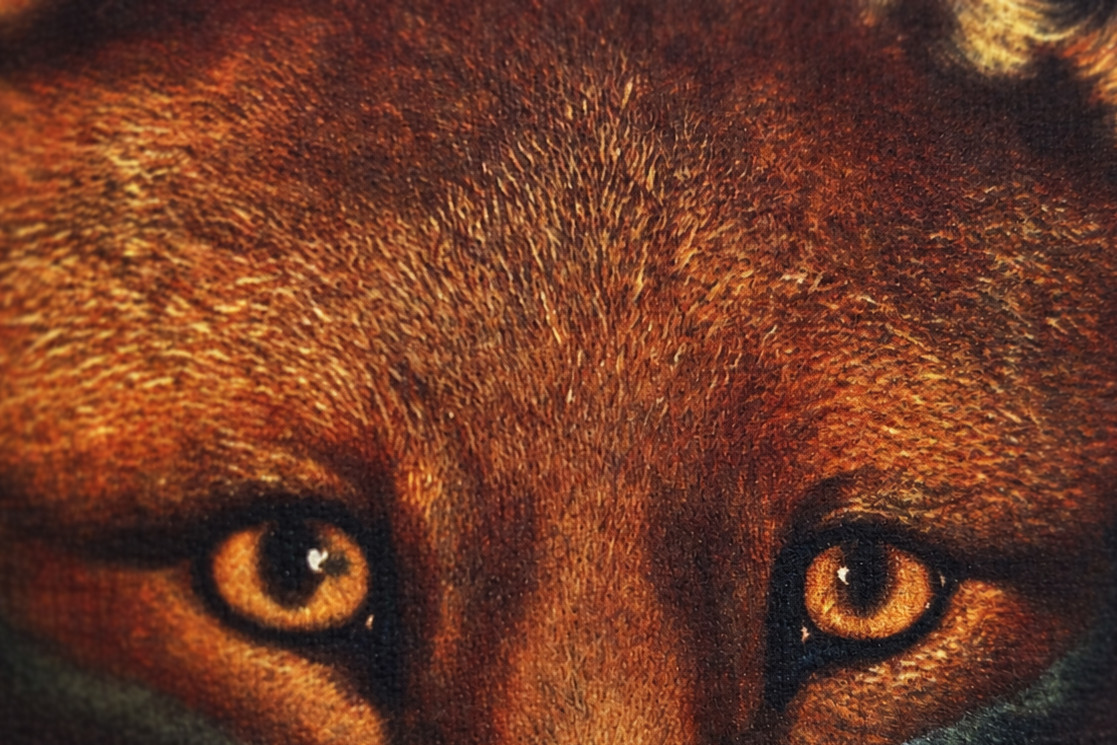 Renard, a raposa, c. 1800, 1922 - Philip Reinagle