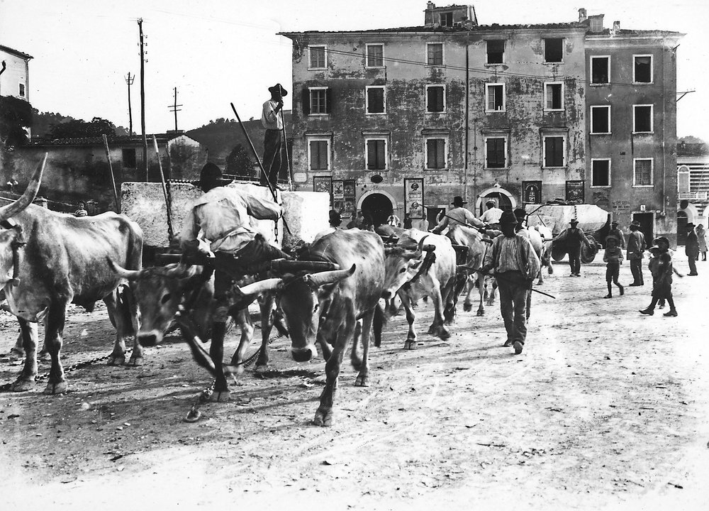Carrara: bois transportam grandes blocos de mármore provenientes das pedreiras dos Alpes Apuanos para uma oficina ou o ateliê de algum escultor de A. Corsini