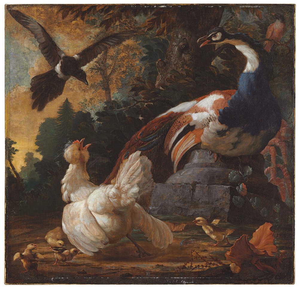 Um pavão, aves de capoeira e uma pega numa paisagem, 1720 de Abraham Bisschop