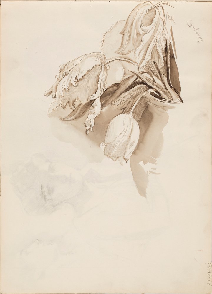 Tulipas de Albert Edelfelt