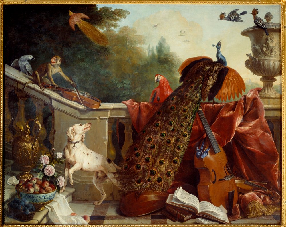 Animais, flores e frutos. Um cão, um macaco a tocar violino, um pavão, um papagaio, uma ave-do-paraíso, instrumentos de corda. 1717. Sol. 1,24 x 2,31 m. Grenoble, Musée des Beaux-Arts de Alexandre-Francois Desportes