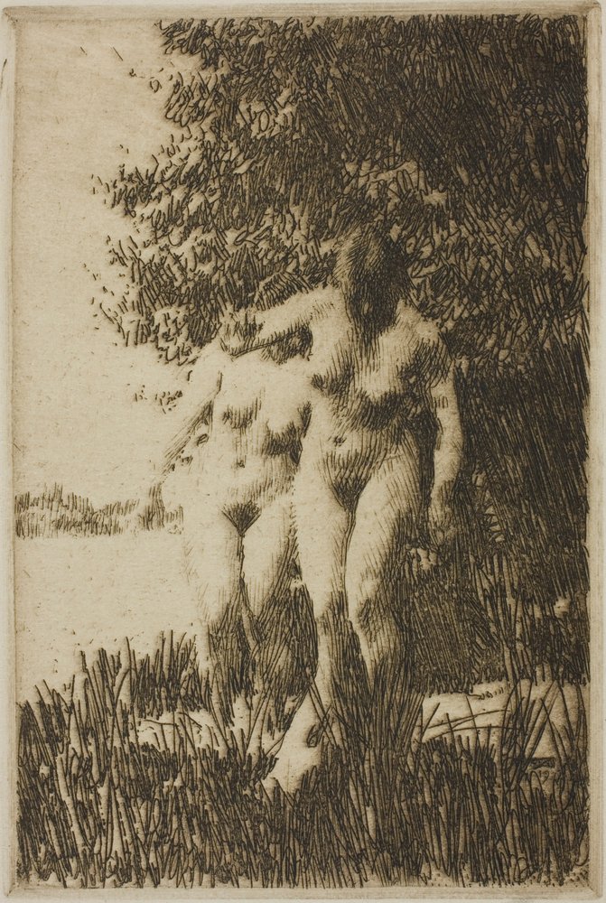 Amieiro de Anders Zorn