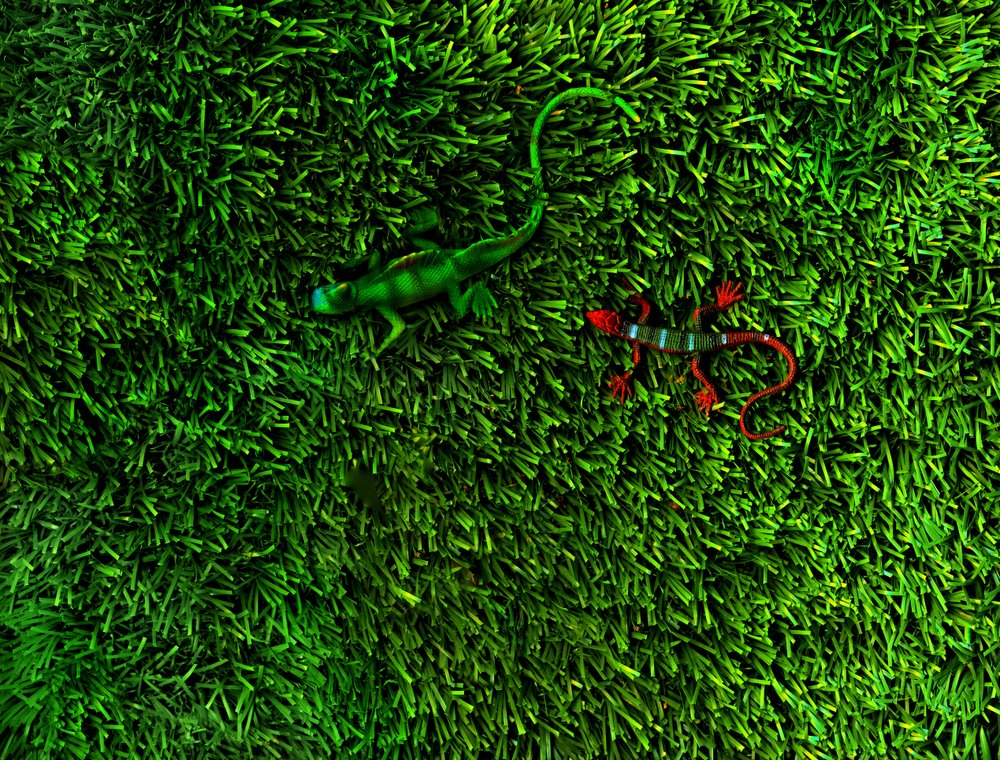 Relva-4;, 2014 (foto) de Antonius Antonius