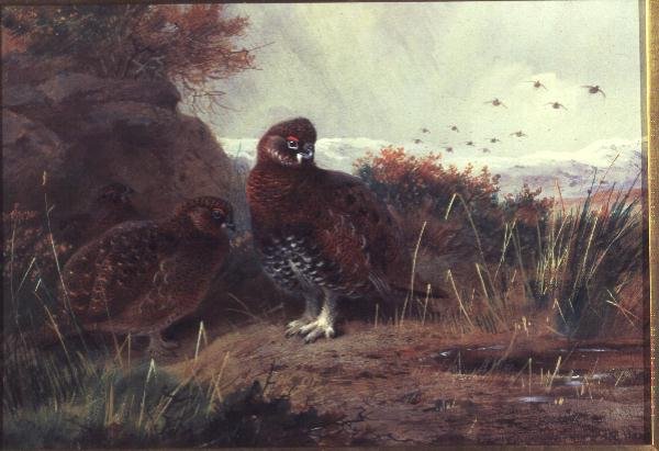 Grouse em uma paisagem de inverno de Archibald Thorburn