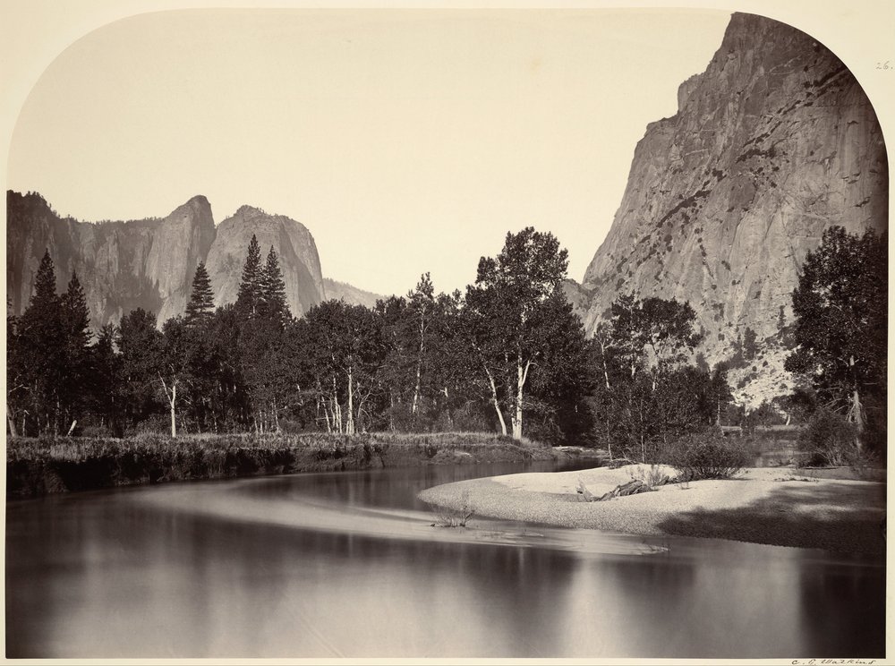 Vista de Camp Grove, Yosemite de Carleton Watkins