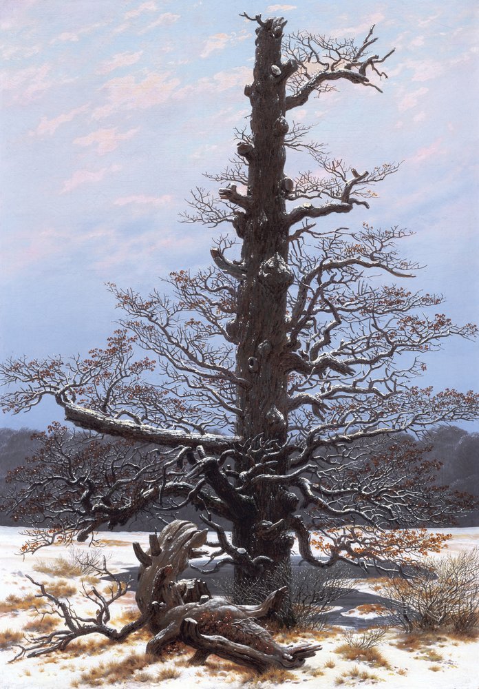 Paisagem de inverno (árvore despida) de Caspar David Friedrich