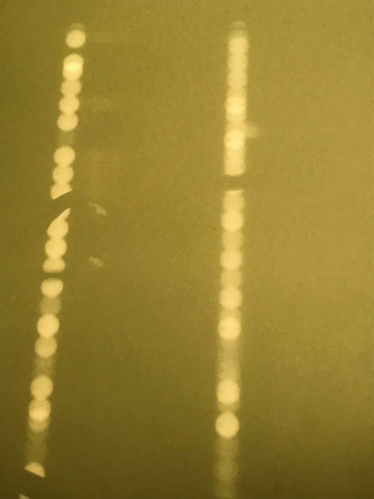 Composição - Luz, 2019 (foto) de Cécile Jamet