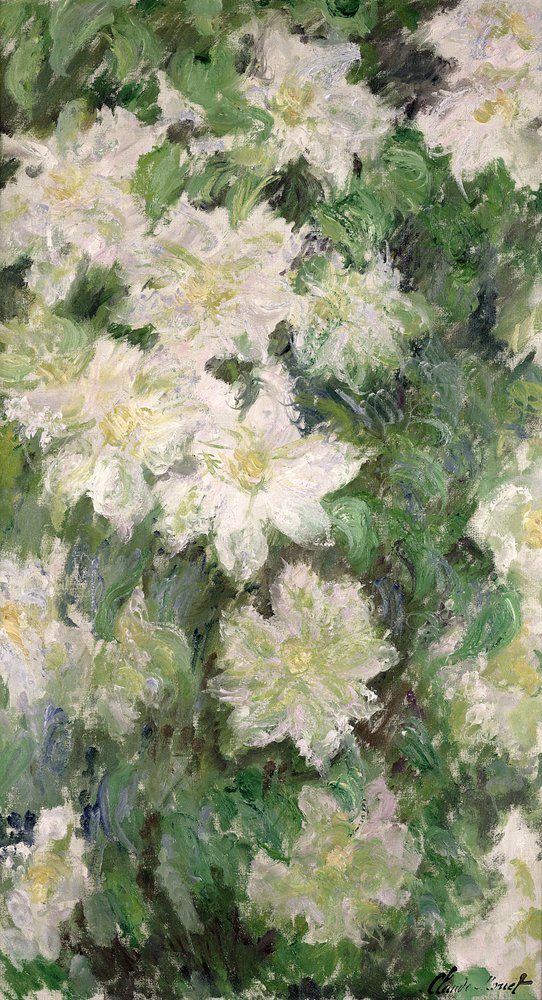 Clematis Branco, 1887 de Claude Monet