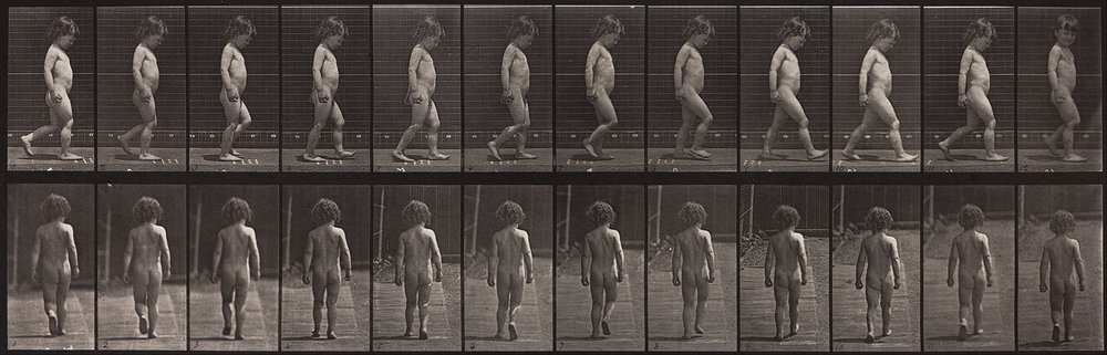 Locomoção Animal, Placa 467 de Eadweard Muybridge