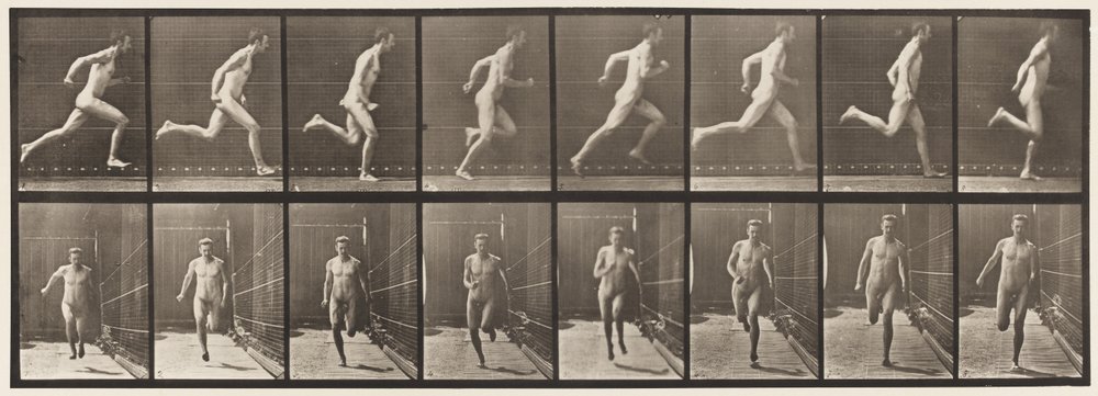 Prancha 67. Corrida, 1872-1885 de Eadweard Muybridge