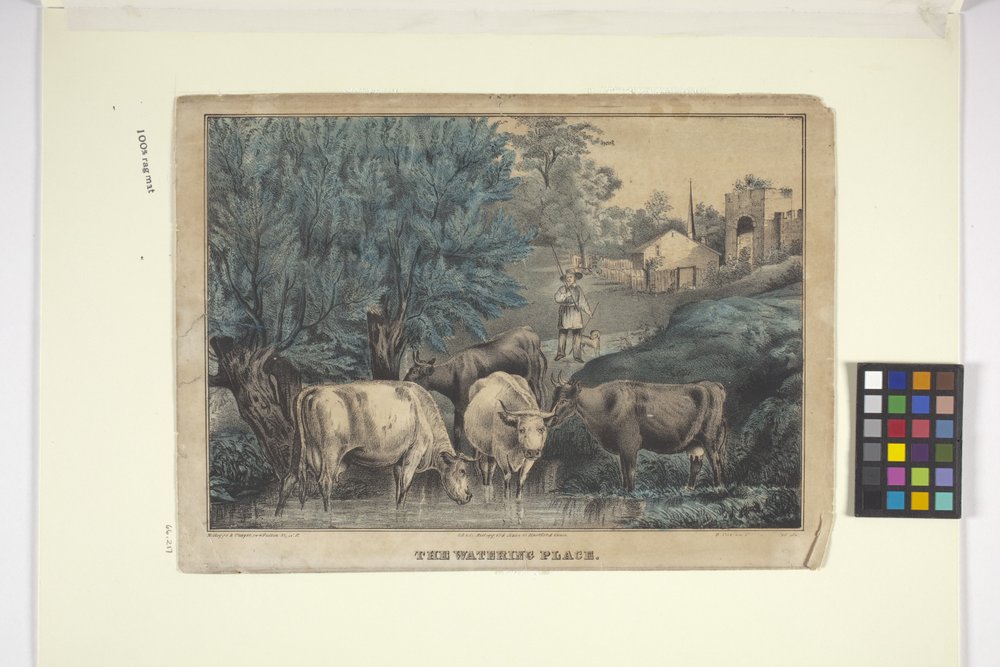 O Local de Rega (litografia colorida à mão) de Edmund Burke Kellogg