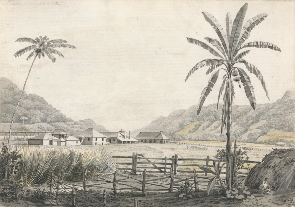 Uma Vista de Hall-head Sugar Plantation, Jamaica de Edward Kennion