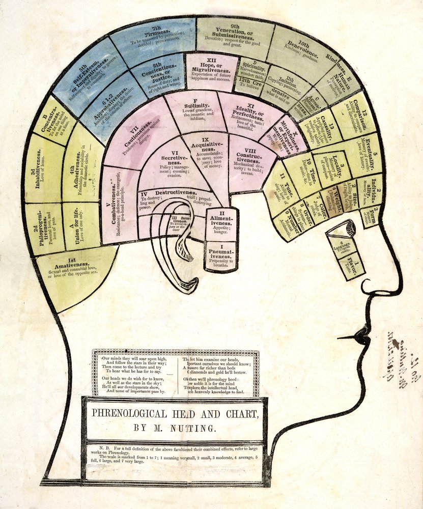 Cabeça frenológica e gráfico, pub. 1857 (cor litho) de English School