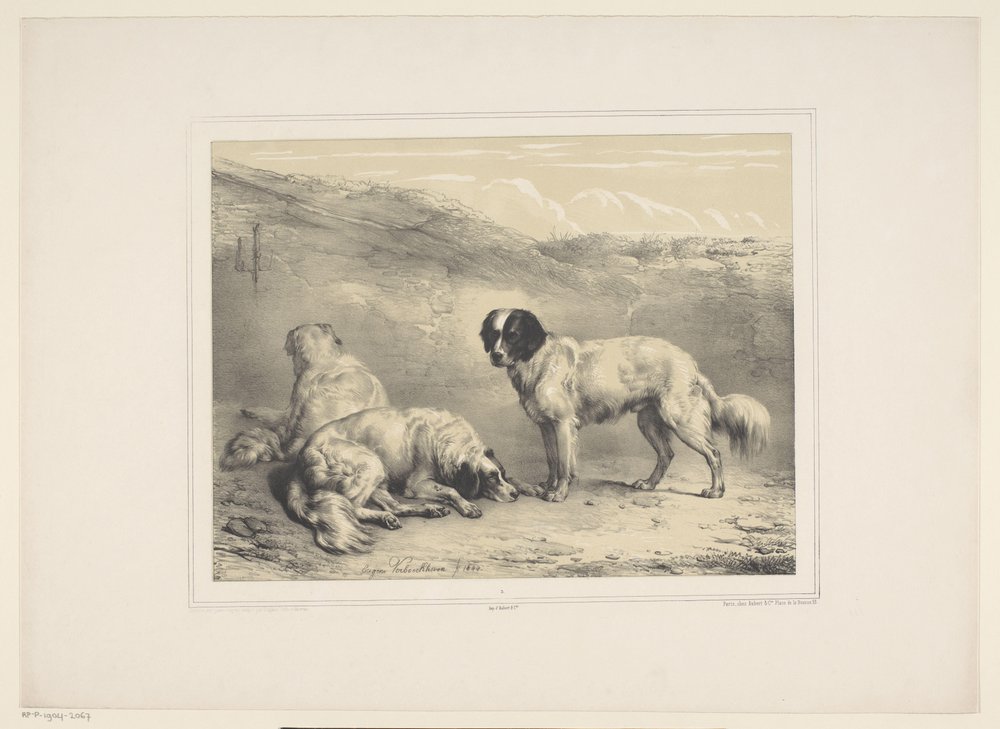 secar honden Vários tamme dieren (título da série) Treze temas de animais domésticos e nativos (título da série) de Eugène Verboeckhoven