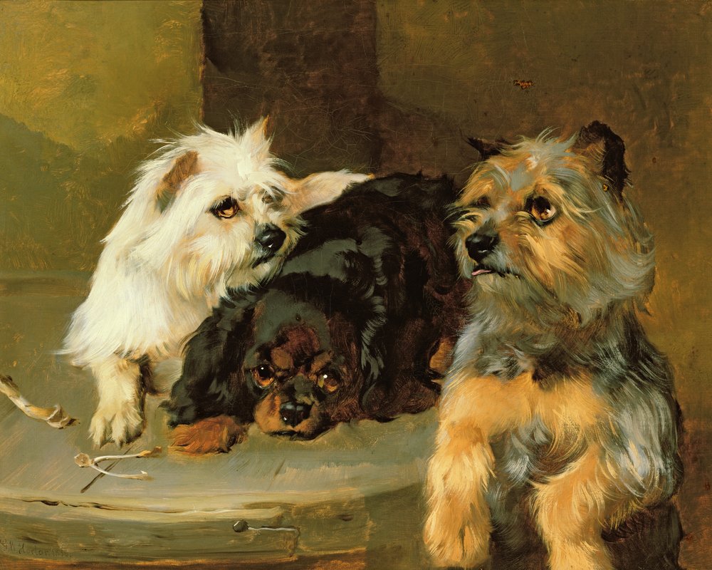 Dê um cão pobre um osso de George Wiliam Horlor