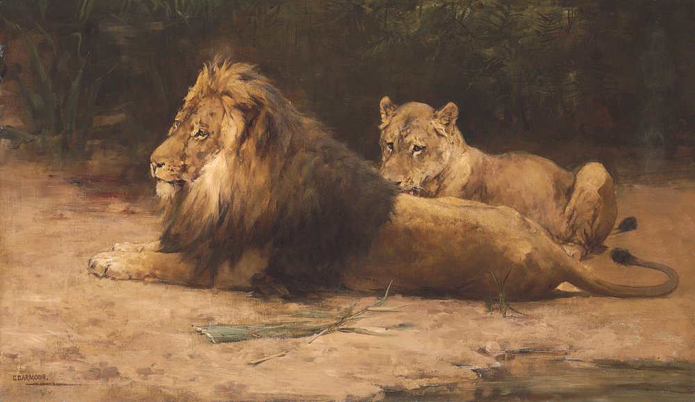 Leão e Leoa em Repouso (óleo sobre tela) de George Denholm Armour