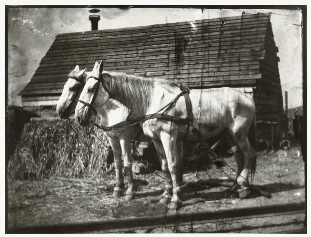 Cavalos no Cruquiusweg de George Hendrik Breitner