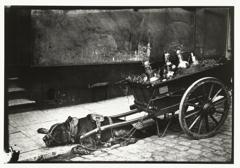 Cão de reboque em frente de um carrinho com autocarros tensos de George Hendrik Breitner