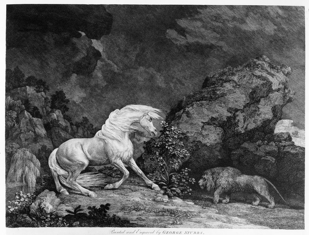 Um cavalo assediado por um leão, gravado pelo artista, 1777 de George Stubbs