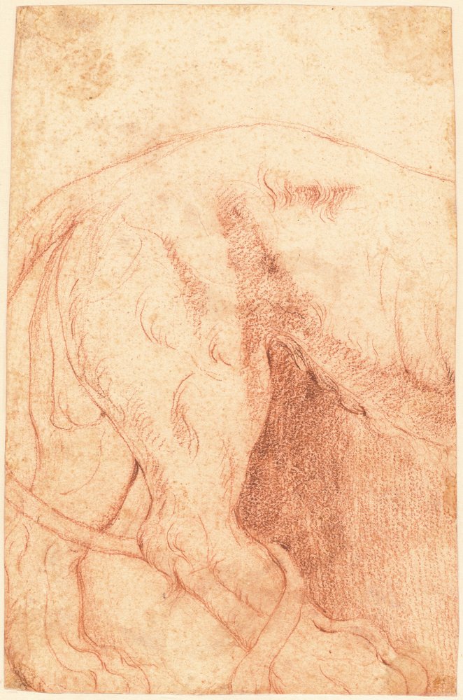 Fragmento de um baixo-relevo de leão (verso) de Giovanni Battista Piranesi