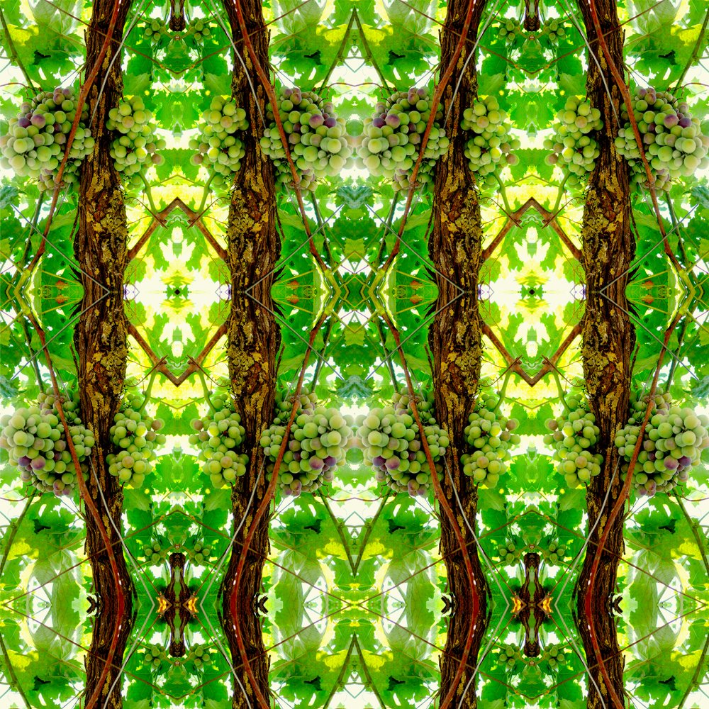 Não-natural 74 (foto manipulada digitalmente) de Giovanni Cafagna