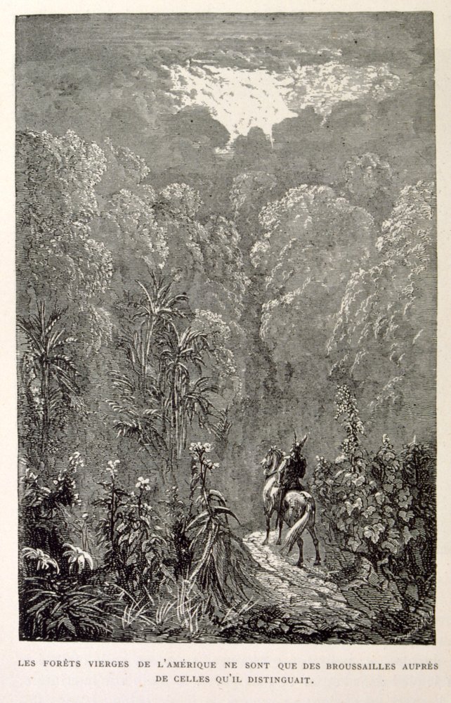 Ilustração de uma floresta americana. de La legende de Croque-Mitaine. de Gustave Dore