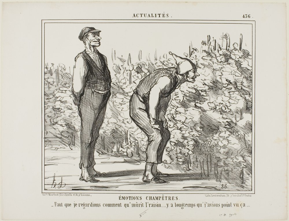 Emoções do campo. "- É preciso ver como cresce o vinho... nunca o vi antes...", chapa 436 de Actualités de Honoré Victorin Daumier