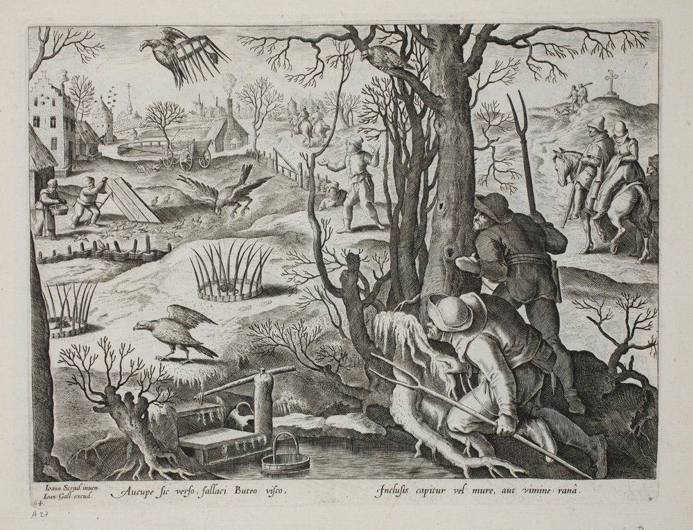 Birdcatchers usando armadilhas com ratos para capturar falcões, placa 64, ilustração de &39;Venationes, Ferarum, Avium, Piscium&39; (de caça: animais selvagens, pássaros, peixes), gravada por Jan Collaert (1566-162 de Jan van der Straet