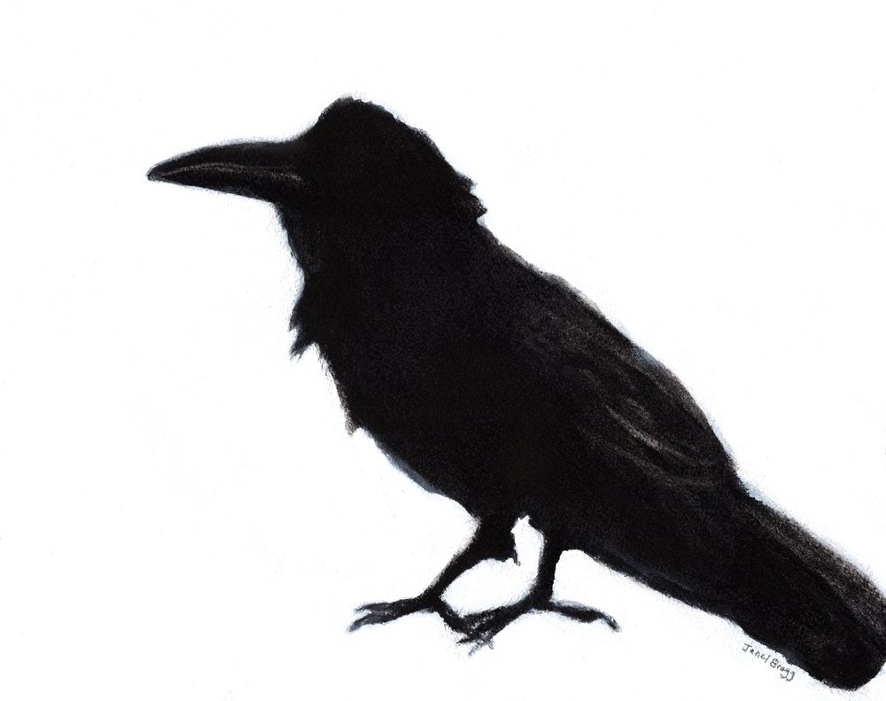 Raven at Baker Beach, c. 2023 (técnica mista sobre papel) de Janel Bragg