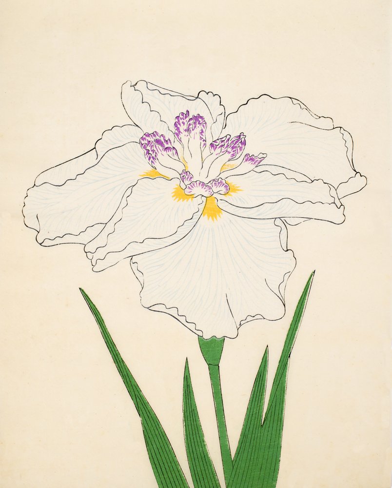 Cho-Hiyen, nº 91, 1890 (impressão em xilogravura a cores) de Japanese School