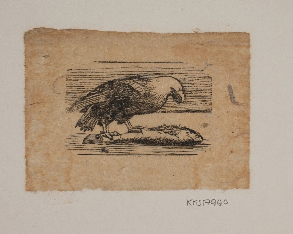 Uma águia de Joakim Frederik Skovgaard