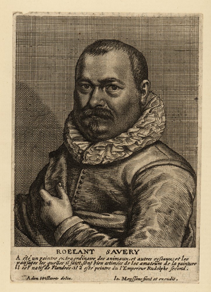 Retrato de Roelant Savery, pintor holandês da Idade de Ouro nascido na Flandres de Johannes Meyssens