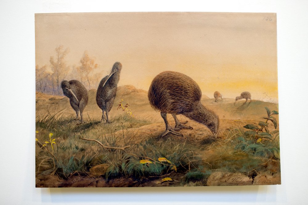 Mantis do quivi, 1852 de Joseph Wolf