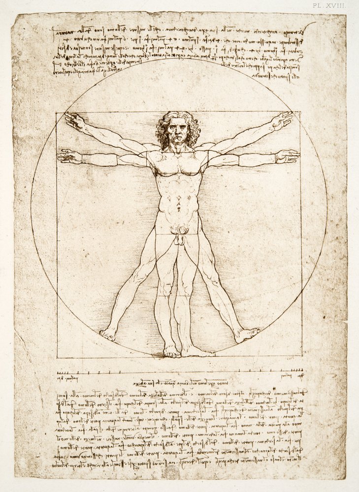 As proporções da figura humana (depois de Vitruvius), c.1492 (fac-símile) de Leonardo da Vinci