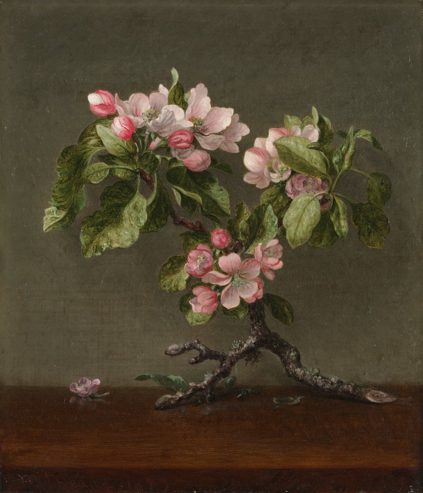 Flores de macieira de Martin Johnson Heade