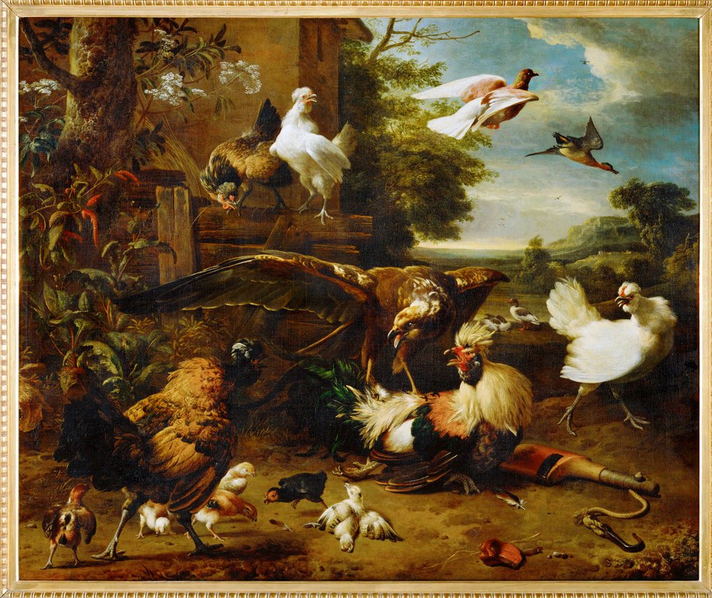 O falcão no pátio das galinhas (pintura sobre tela) de Melchior de Hondecoeter