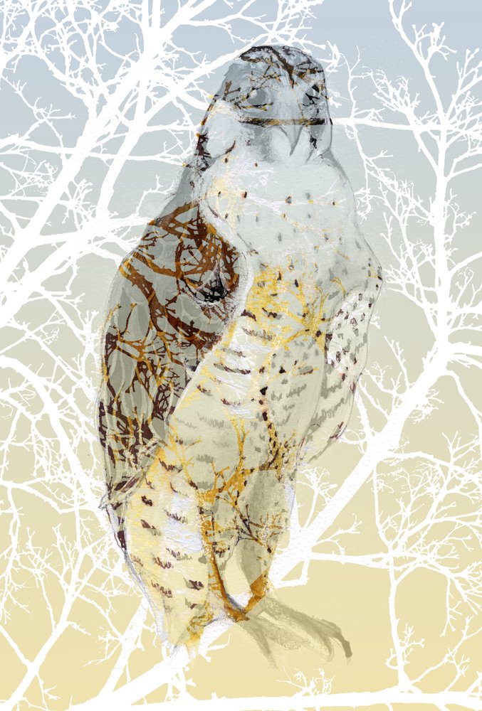 Peregrine Falcon, 2015, (tinta e guache no cartão) de Nancy Moniz Charalambous